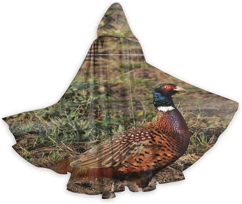 Pheasant costume .
